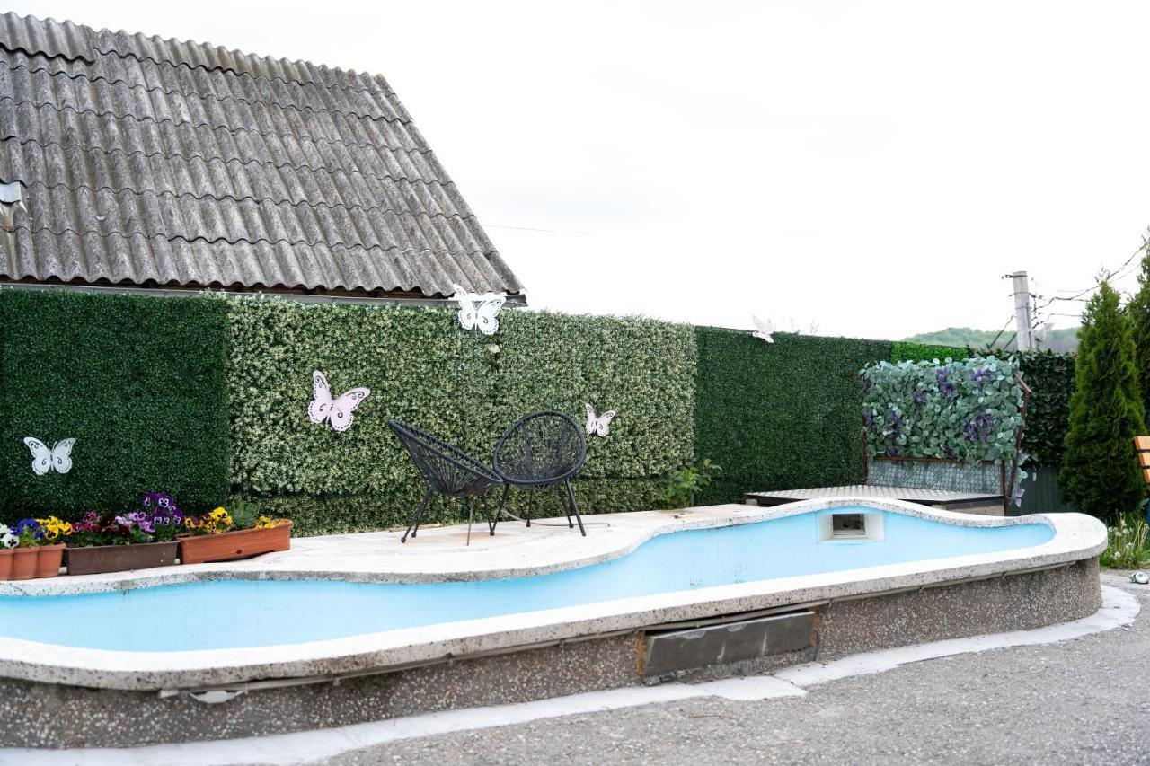 Vila Club Dioda Cicanesti Buitenkant foto