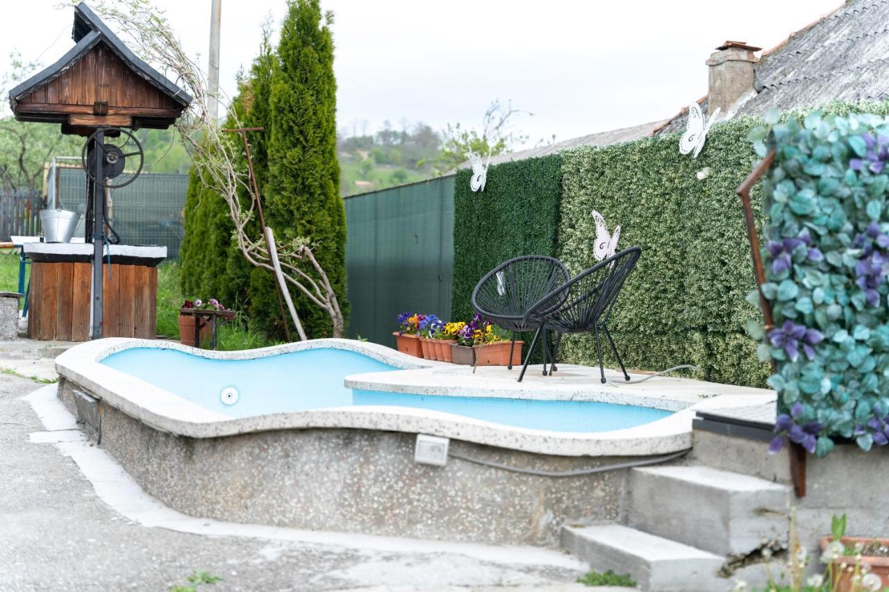 Vila Club Dioda Cicanesti Buitenkant foto